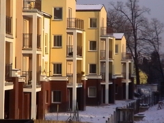 Niezapominajki