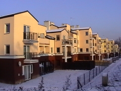 Niezapominajki
