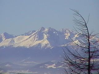 Mistrzostwa Polski Brany Budowlanej - Jaworzyna Krynicka 2003